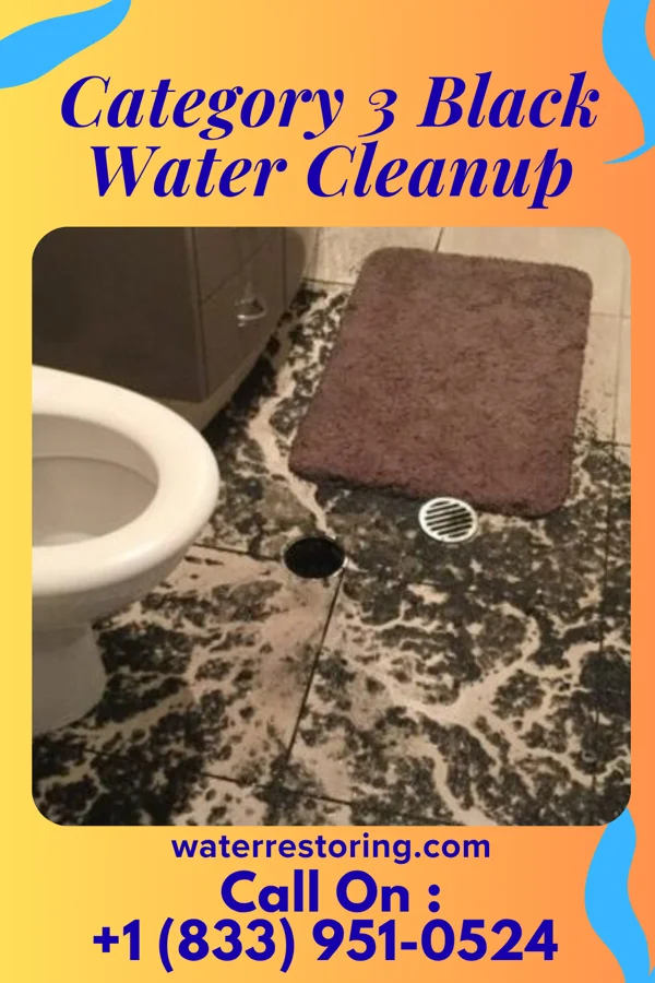 Category 3 Black Water Cleanup in Huntington, VA