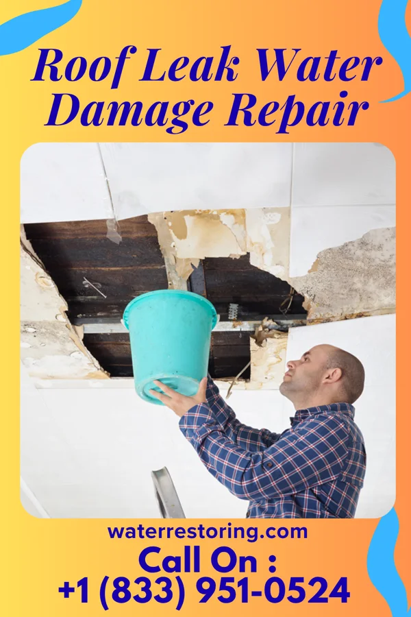 Roof Leak Water Damage Repair in Huntington, VA