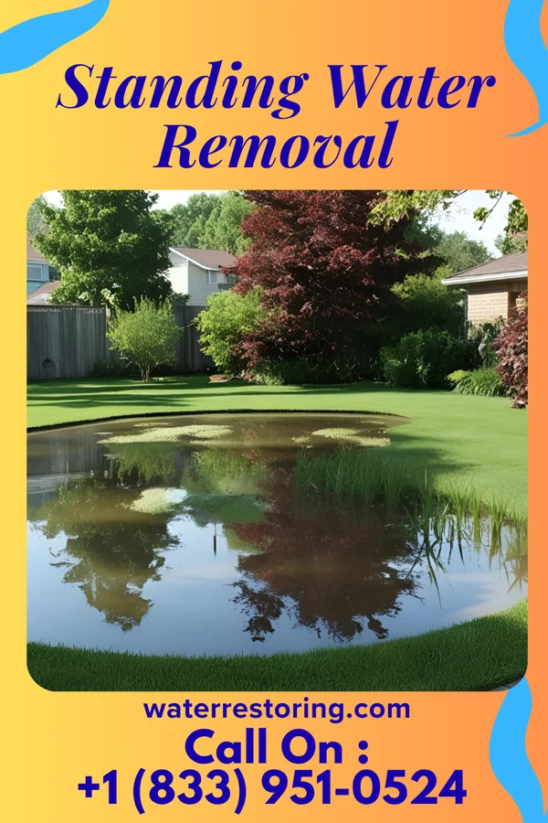 Standing Water Removal in Huntington, VA
